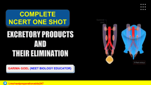Excretory Products and Elimination by garima mam