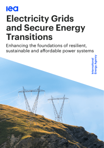 Electricity Grids & Secure Energy Transitions Report