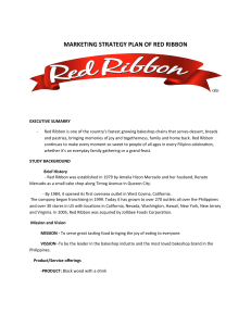 red-ribbon-marketing-plan-final
