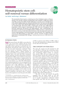 WIREs Mechanisms of Disease - 2010 - Seita - Hematopoietic stem cell  self‐renewal versus differentiation