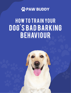 EBOOK - How To Train Your Dogs Bad Barking Behaviour