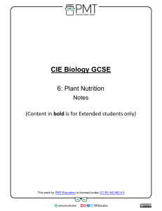 Summary Notes - Topic 6 Plant Nutrition - CAIE Biology IGCSE