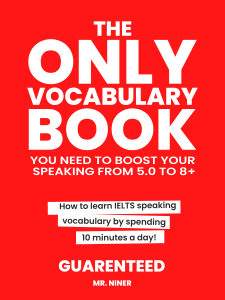 @MrNiner The Only Vocabulary Book