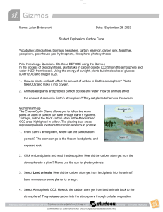 Carbon Cycle: Student Exploration Activity