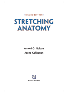 Stretching anatomy 2