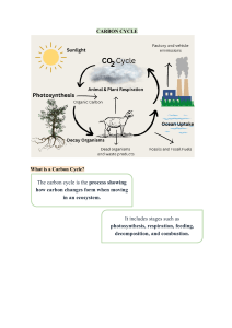 CARBON CYLE - STAGE 9 DEFINITION