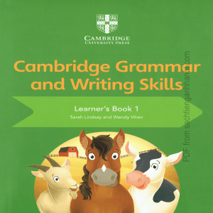 Cambridge Grammar and Writing Skills Learner's Book 1