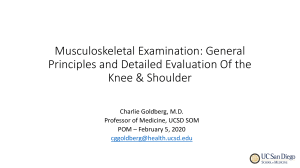 Knee & Shoulder Musculoskeletal Exam: Principles & Evaluation