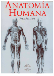 Anatomía Humana