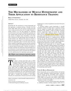 The Mechanisms of Muscle Hypertrophy and Their Application to Resistance Training (Schoenfled, 2010) 2