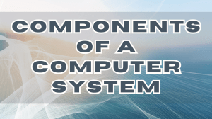 COMPONENTS OF A COMPUTER SYSTEM