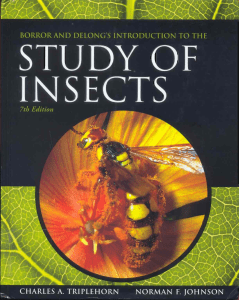 pdfcoffee.com borror-amp-delong-2005-study-of-insects-5-pdf-free