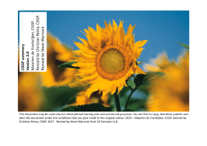 CISSP Sun flower