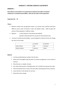 Writing Complete Lab Reports - Handout 2