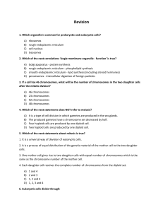 Worksheet - preparation for an entry test