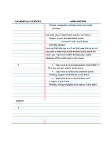 Cornell Notes simple sentence