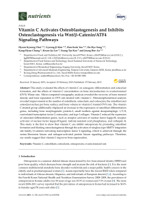 Vitamin C Activates Osteoblastogenesis and Inhibits Osteoclastogenesis via Wnt -Catenin ATF4 Signaling Pathways