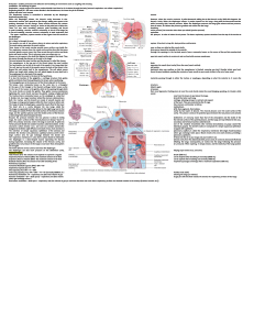 Copy of Anatomy & Physiology Cheat Sheet 
