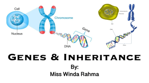CHAP. 7 Genes & Inheritance Miss Winda
