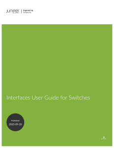 interfaces-ethernet-switches