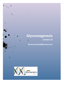 14- gluconeogenesis