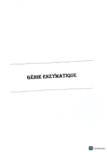 DS-genie enzymatique