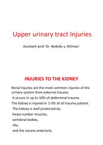 L3-Renal and ureteric injury