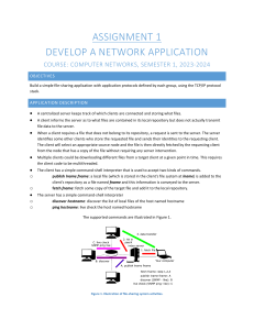 HK1 2324 BTL1-Network Application P2P File Sharing