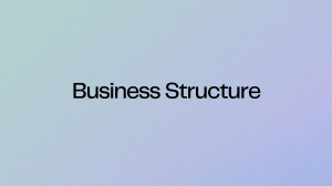 business structure - Presentation