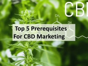 The Top 5 Prerequisites For CBD Marketing