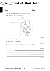 cells practice test