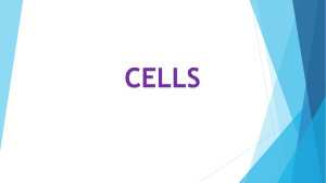 Cells & DNA Revision