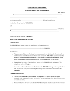 Employment contract 2