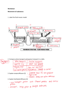 Worksheet structure of cell membrane