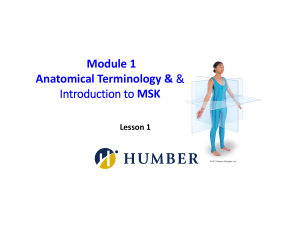 Module 1 - Anatomical Terminology