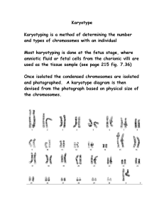 Karyotype overhead