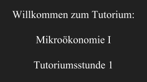 Mikro Tut Stunde 1