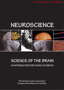 Neuroscience.Science.of.the.Brain