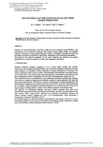 (1993) New Materials in the System Si-(N,C)-B and Their Characterization
