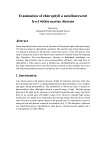 Examination of chlorophyll level within marine diatoms