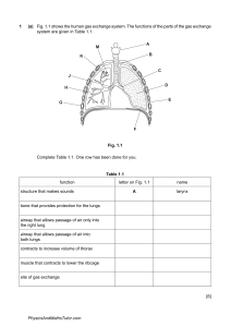 Gas Exchange in Humans 1 QP