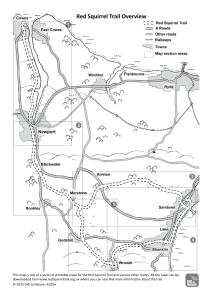 Complete Red Squirrel Trail Maps