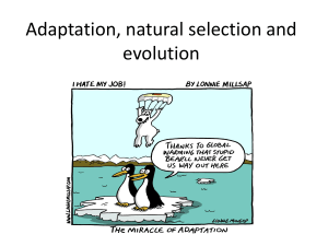 6.-Adaptation-Natural-selection-and-evolution-1o76r6m
