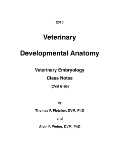 Concise-Review-in-Veterinary-Embryology-by-Fletcher 2