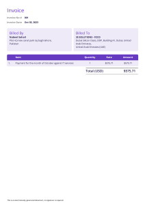 invoice-001-nabeel-sohail-3s-solutions-fzco