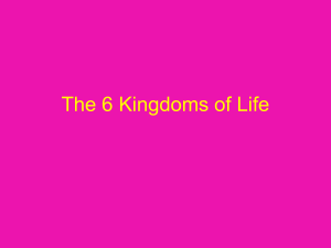 6 Kingdoms of Life PowerPoint