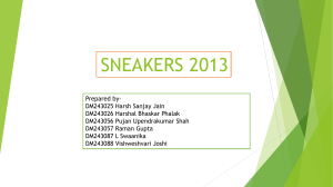 Sneakers 2013 & Persistence Capital Budgeting Analysis