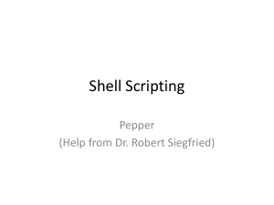 Shell Scripting Tutorial: Bash Scripting Guide