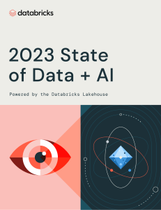 databricks-2023-state-of-data-report-06072023-v2 0