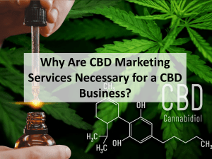 Why Are CBD Marketing Services Necessary for a CBD Business?